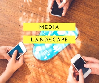 media landscape-1.jpg